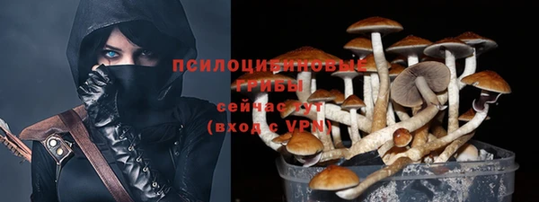 прущие грибы Армянск
