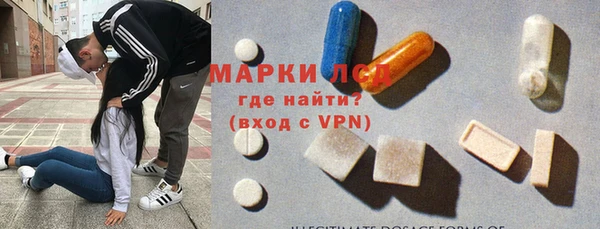 прущие грибы Армянск