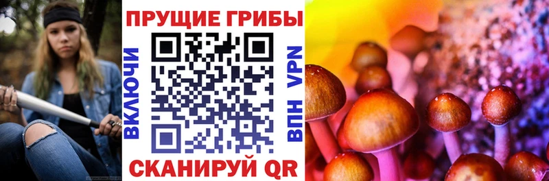 Псилоцибиновые грибы Magic Shrooms  Купить где  Урень 